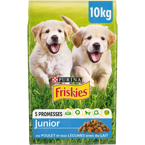 Purina Friskies Junior de Pollo Croquetas para Cachorros, 10 kg