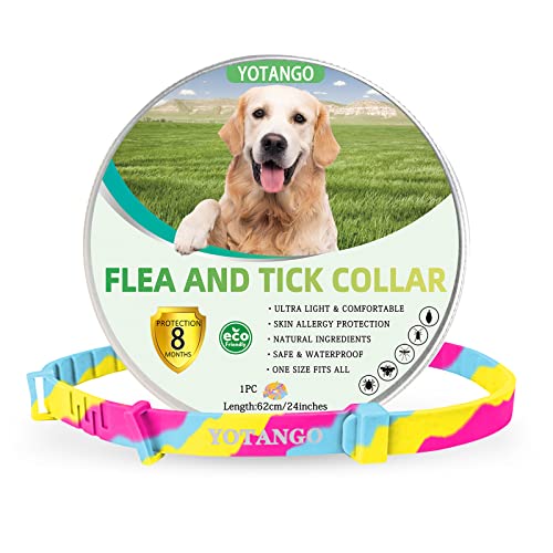 Collares Antiparasitario para Perros, Collar Antipulgas Perros, Ajustable Impermeable Collar de Pulgas y Garrapatas para Perro con 8 Meses de Protección Natural para Perros Cachorros Grandes-Arcoíris