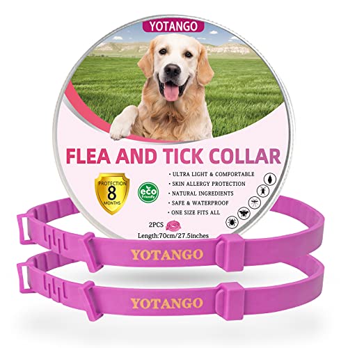 Collares Antiparasitario para Perros, Collar Antipulgas Perros, Ajustable Impermeable Collar de Pulgas y Garrapatas para Perro con 8 Meses de Protección Natural para Perros Cachorros Grandes-Rosa