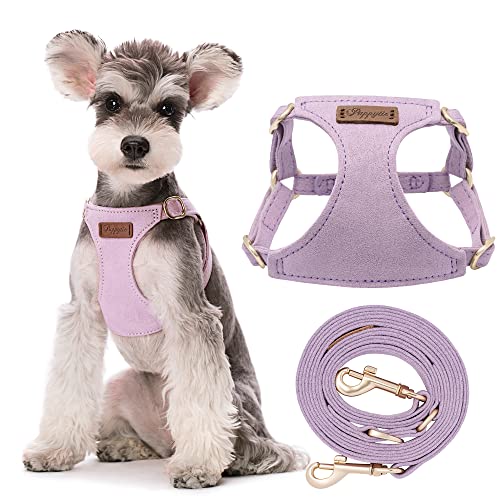 Puppytie Arnés sin tirones para perro, con correa multifunción, pechera ligera, suave y ajustable para mascota, no ahorca, chaleco a prueba de escape, morado claro, S