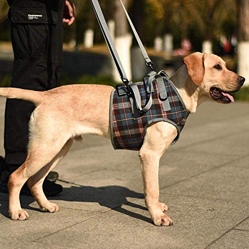 Los Perros Que Llevan Delante La Ayuda Del Arnés Del Perro Andador Para Mascotas Elevación De Soporte Tirando Chaleco De Rehabilitación Apoyo Cabestrillo Durante Antiguo Lesionado Perros,Rojo,XL