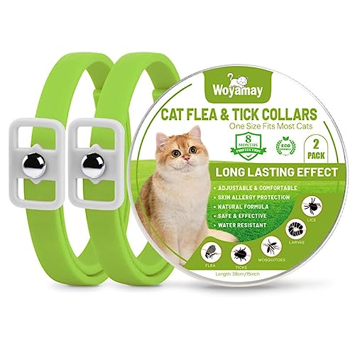 Woyamay Collar Antiparasitario Gatos, Collar Antipulgas Gatos Collar Antipulgas y Garrapatas, Ajustable Resistente Al Aqua, 8 Meses de Protección, para Qualquier Tamaño de Gato, Verde (2 Unidades)