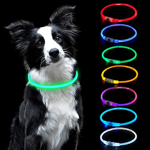 AUAUY Collar Luminoso Perro, Collar LED Perro Recargable por USB Tamaño Ajustable, Collar Luminoso Perro Impermeable Collar de Seguridad Reutilizable para Perros Pequeños Medianos Y Grandes - Vistoso