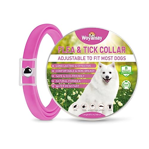 Collar Antiparasitario Perros, Collar Antipulgas Perros Natural, Eficaz Collar Perro Antiparasitario, Válido para 8 Meses, 65cm Impermeable Anti Garrapatas para Perros De Todos Los Tamaños, Rosa