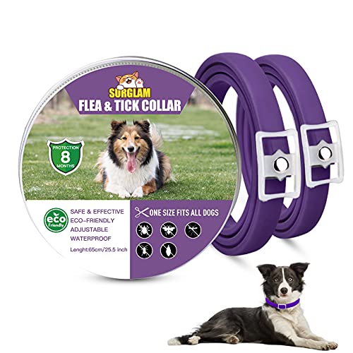 Collares Antiparasitario para Perros, Collar Antipulgas Perros, Collar de Pulgas y Garrapatas para Perro, 2 Pièces Ajustable Impermeable 8 Meses Protección para Perros de Todos Los Tamaños Púrpura