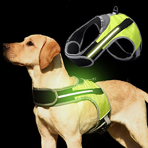 Ksttog Arnés iluminado para perros de noche para caminar - Arnés LED con batería de botón, arnés de luz para perros, cómodo arnés ajustable para perros medianos y grandes (verde, XL)