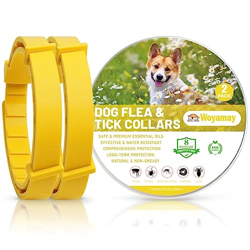 Collares Antiparasitarios para Perros, Eficaz Collar Antipulgas Perros contra Pulgas y Garrapatas, Protección de 8 Meses, Impermeable Collar para Pequeño Mediano Grandes Perros Amarillo, 2 Pcs