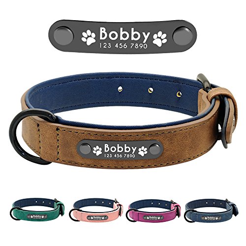 Didog - Collar de Piel Suave Acolchada Personalizable para Perro, Chapa de Nombre, Anilla en D, Collar Grabado para Perro, tamaños pequeño, Mediano y Grande