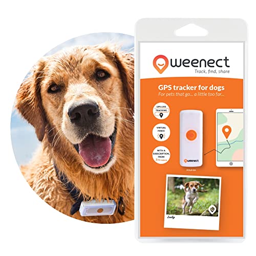 Weenect Dogs 2 - Rastreador GPS para Perros | Seguimiento GPS en Tiempo Real | Sin límite de Distancia | El Modelo más pequeño del Mercado | Funciona con suscripción