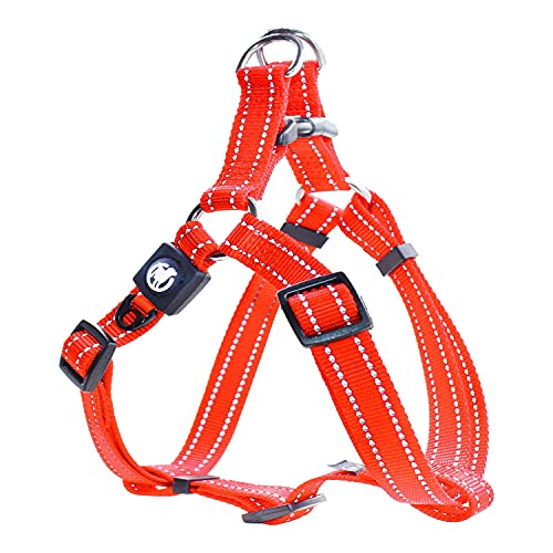 DDOXX Arnés Perro Step-In Nylon, Reflectante, Ajustable | Muchos Colores & Tamaños | para Perros Pequeño, Mediano y Grande | Accesorios Gato Cachorro | Naranja, XXS