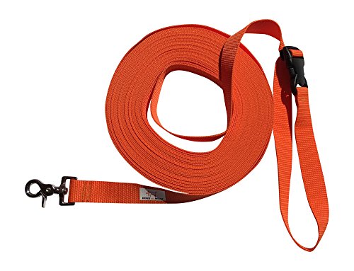 Dogs and More – Correa de Perro Extensible y con Lazo de Mano para Abrir / Correa de Entrenamiento / Correa de adiestramiento = > 15 Metros en Naranja