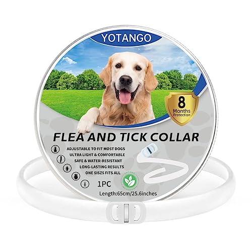 Collares Antiparasitario para Perros, Collar Antiparasitario Perros, Ajustable Impermeable Collar Antipulgas Perros 8 Meses de Protección Natural-para Perros Cachorros Grandes-Bianco