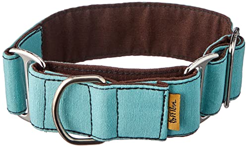 ThePetLover - Collar para Perros Martingale, S