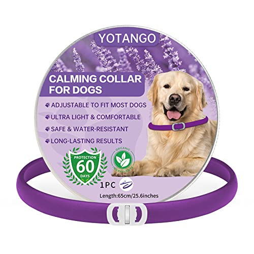 YOTANGO Collar Calmante para Perros, Calmante Collar para Perros Impermeable, Collar de Perro Calmante Ajustable con 60 Días de Duración, Collar Anti Ansiedad para Cachorros, Perros y Grandes Morado