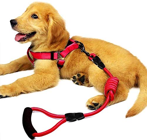 Ajustable Cómodo Chaleco Con Cinturón De Posterior Del Pecho Arnés Para Perros Arnés A Prueba De Explosiones Arnés Para Perros Arnés Para Perros Arnés Golden Retriever Chaleco Para Mascotas-x-small