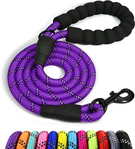 Taglory Correa de Perro, 1,2 m Correa de Fuerte de Perro para Perros Medianos y Grandes con Mango Acolchado Suave y Hilos Reflectantes, Morado