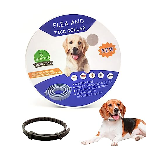 Collar Antipulgas Perros, Collar Antiparasitario Perros, Ajustable y Impermeable, Válido 8 Meses para Perros de Todos los Tamaños, Natural Antipulgas y Garrapatas, 64cm (Negro)