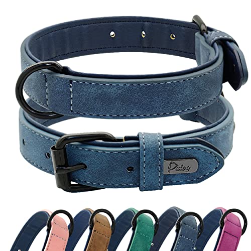 Didog Collar De Perro De Cuero Acolchado Suave, Collar De Perro Transpirable De Alta Resistencia con Hebilla De Metal Ajustable A Prueba De Herrumbre para Perros Pequeños, Medianos Y Grandes, Azul, M