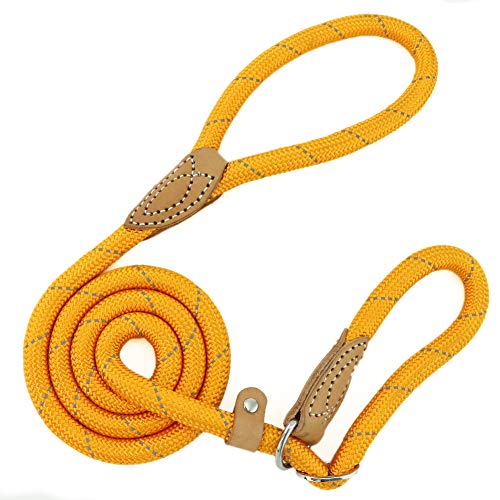 Grand Line Correa de Perro, 1.5m Correa Perro Adiestramiento, Reflectantes y Ajustable Nylon Duradera Cuerda para Perros Pequeños, Medianos, Grandes (Naranja, 1.0cm de Diámetro)