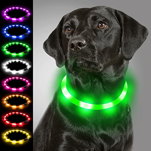 Joytale Collar Luminoso Perro, Collar para Mascotas LED Ajustables con Luz, Collares Recargable USB para Perros Pequeños, Medianos y Grandes, Verde