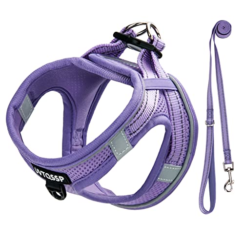 Arnés para perros de tamaño mediano, color morado, acolchado, arnés para cachorros, arnés para perros, pequeño M