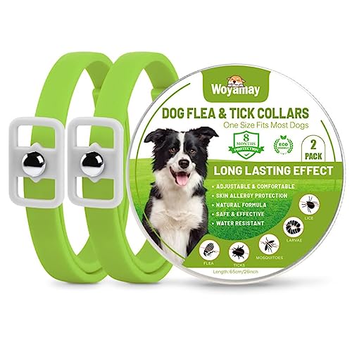 Woyamay Collar Antiparasitario Perros, Natural 8 Meses de Protección Collar Antipulgas Perros, Resistente Al Agua Regulable Collar Pulgas y Garrapatas Perros para Perros, Verde (Paquete De 2)