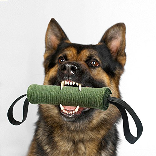 YUQIAN Collar para Mascotas Perro De Juguete Perros Entrenamiento Juguetes para Jugar Mascota Masticar Los Dientes Limpieza Interactiva para La Policía   1 A 2 Asas, Verde, M