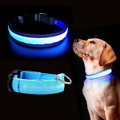 Collar con Luz Led para Perro - Recargable por USB - Collar Perro para Noche - Reflectante - con Anilla Metálica - Azul, L