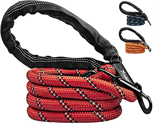 Candure Correa Perro con Mango Acolchado Suave y Nylon Sólido/Larga Reflectante Cuerda 5 ft Correas Perros Grande, Medianos y Pequeño - Adecuado para Adiestramiento,Correr y Senderismo (Rojo)