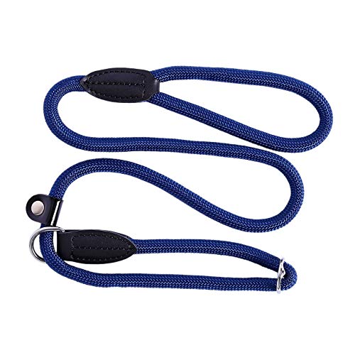 lionto Correa Retriever Correa de Perro Correa de Entrenamiento, Longitud 120 cm Azul