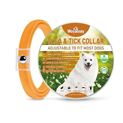 Collar Antiparasitario Perros, Collar Antipulgas Perros Natural, Eficaz Collar Perro Antiparasitario, Válido para 8 Meses, 65cm Impermeable Anti Garrapatas para Perros De Todos Los Tamaños, Naranja