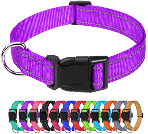 TagME Collar Perro Ajustable,Collar Nylon Reflectante,para Caminar Correr Entrenamiento,para Perros Pequeños,Morado,1.5cm De Ancho