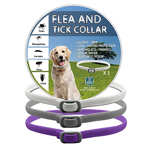 Pets4Luv Collar antipulgas y garrapatas para perros, collar antipulgas para perros, protección de 8 meses, talla única para todos los perros, ajustable e impermeable, 3 piezas