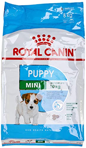 Royal Canin C-083342 S.N. Mini Junior - 8 Kg