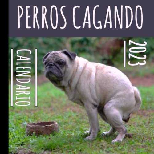 Perros Cagando Calendario 2023: Regalo divertido para amantes de perros