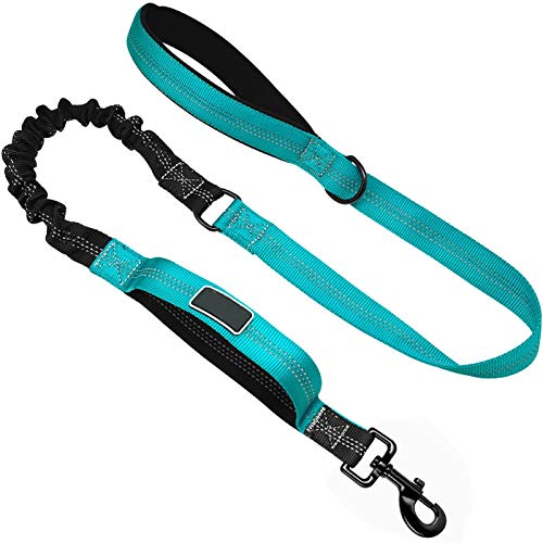 Correa resistente a la masticación Correa de perro LEOR ELASTICO BUNGEE PERDER CORREA NYLON Reflective Perro Perro Correa Correa Perrito Perrito Caminando Correas Tracción Cuerda 2 Manijas Collar de p