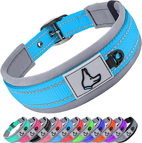 Joytale Collar Perro, Collar Acolchado de Neopreno Nylon Reflectante para Perro Pequeño, Medianos, Grandes, Collar para Perros Resistente Ajustable, Cielo Azul, S