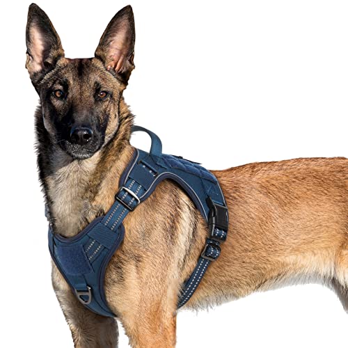 rabbitgoo Arnes Perro Antitirones, Arnes Perro Grande Mediano Transpirable, Arnes Táctico Perro Ajustable con Asa Anillos y Molle, Chaleco Durable Reflectante para Adiestrar, Caminar, Cazar, Azul XL