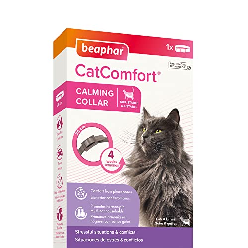 Beaphar - CatComfort Collar Antiestrés para Gatos, con Feromonas para Gatos, Reduce Estrés y Ansiedad, Miedos, Cambios Entorno, Nuevo Hogar, Maullidos, Marcajes con Orina, Conflictos, 35 cm