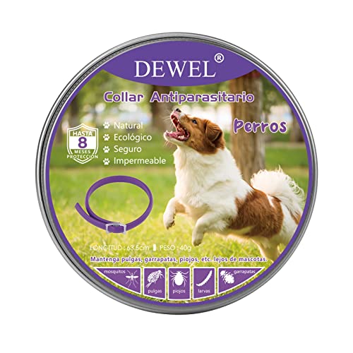 Collar Antipulgas Perros DEWEL, Protección Efectiva de 8 Meses, Collar contra Pulgas Garrapatas y Mosquitos, Natural y Seguro para Perros Grandes, Medianos y Pequeños, 63.5 cm Morado