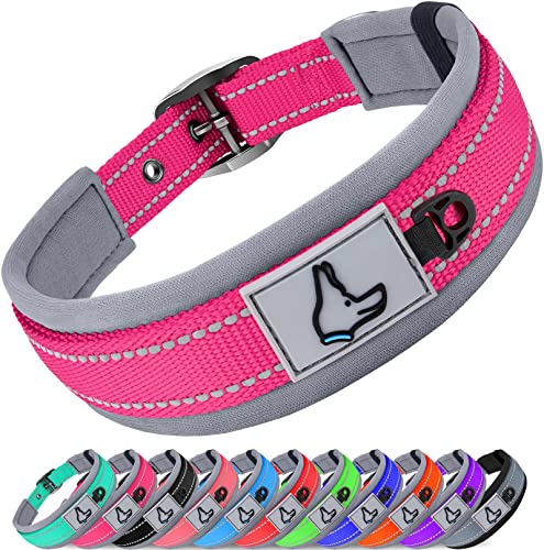 Joytale Collar Perro, Collar Acolchado de Neopreno Nylon Reflectante para Perro Pequeño, Medianos, Grandes, Collar para Perros Resistente Ajustable, Fucsia, M