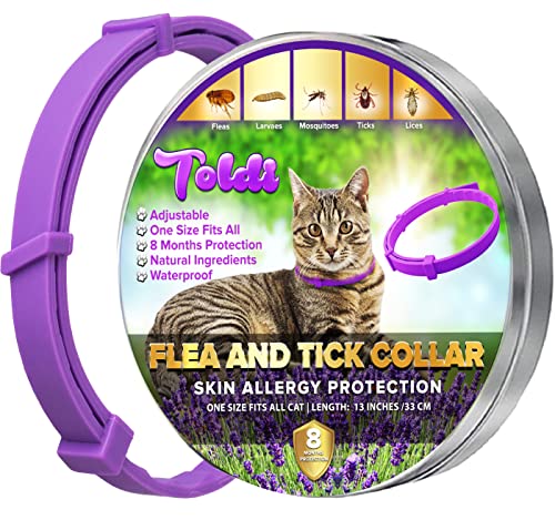 Tratamiento contra Las pulgas en Gatos - Collar antipulgas Gatos Regulable - 8 Meses de protección contra pulgas, garrapatas y piojos - Resistente al Agua - Morado - Toldi