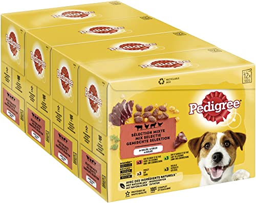 Mars Pedigree Vital Protection - Sachets fraîcheur pour Chien Adulte aux 4 saveurs en gelée, 48 sachets repas de 100g