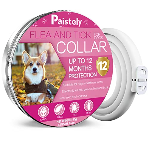 Collar Antipulgas Perros, Seguro y Eficaz Collar Antiparasitario Perros Hecho de Aceites Esenciales 100%, Collares Antipulgas para Perros de 12 Meses de Eficacia para Perros de Todos Los Tamaños