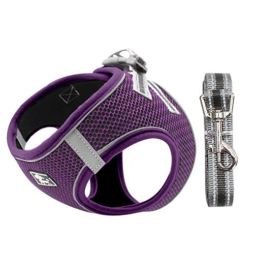 Dociote Arnés para Perros Perros pequeños, Arnés Deportivo para Perros Sin Tirón Malla Suave Reflexivo y Transpirable Arnés para Perros y Juego de Cables Ajustable Morado S