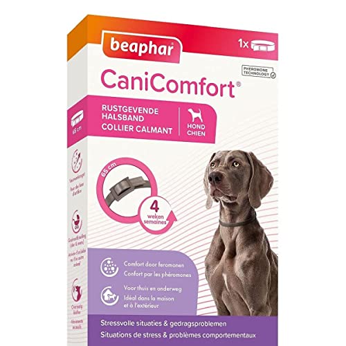 Beaphar – CANICOMFORT – Collar calmante con feromonas para Perros – Reduce el estrés y el Comportamiento no Deseado sin dependencia ni somnolencia – Listo para Usar – 1 Collar de 65 cm