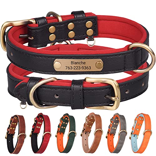 AIPNIS Collar de Perro de Cuero Bicolor, Personalizado con el Nombre de la Mascota y el Número de Teléfono Grabados, Collar de Perro de Cuero Sintético para Perros de Tamaño Pequeño y Mediano