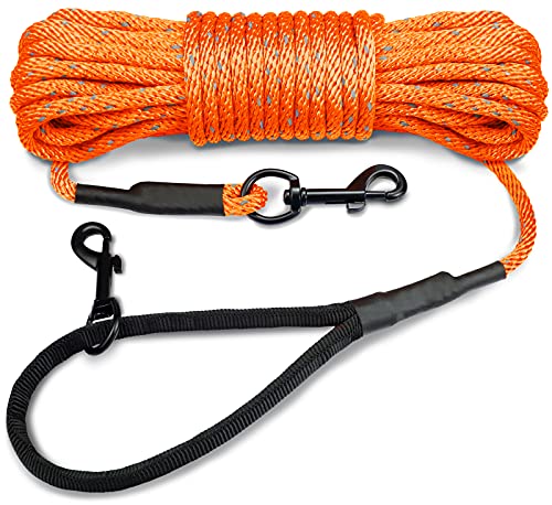 Joytale Correa de Adiestramiento para Perros, 10M Correas Largas con Asa Acolchada y Dos Mosquetones para Perros Pequeños y Cachorros, Naranja