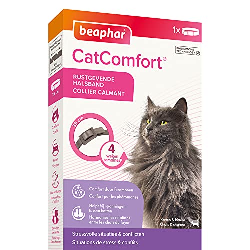 Beaphar – CATCOMFORT – Collar calmante con feromonas para Gato y Gatito – Reduce el estrés y los Problemas de Comportamiento sin dependencia ni somnolencia – 1 Collar de 35 cm