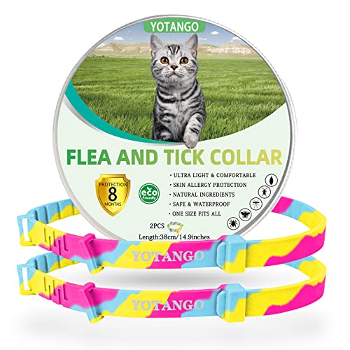 Collar Antipulgas Gatos, Collar Antipulgas y Garrapatas para Gatos, Ajustable Impermeable Collar Antiparasitario Gatos con 8 Meses de Protección Natural para Gatos Medianos y Grandes - Arcoíris